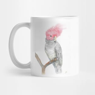 gang gang red head cockatoo parrot watercolor painting Mug